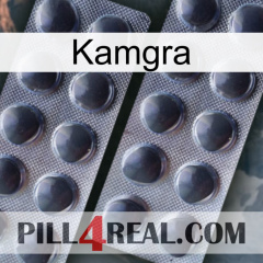 Kamgra 31